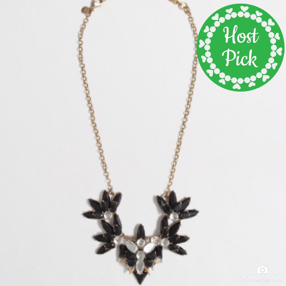 🎉HP NWT J. Crew Black Crystal Necklace!